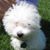 John K Vang's profile image