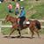 Susan Breau's profile image