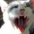Annette Moore's profile image