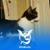 Sharon Blank's profile image