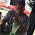 Terry Oates's profile image