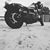 Frankie Barkovic's profile image