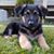 Kathy DePaul Ellis's profile image