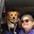 Kimberly Lindquist's profile image