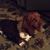 Brenda Sharp's profile image