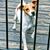 Cabeto Burmester's profile image