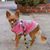 Drea Marek's profile image