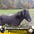 Rachel Bolyard's profile image