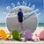 Sandy Simms Jackson's profile image