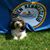 Connie Peterson's profile image