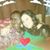 Sandy Belle's profile image