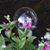 Amy Keller Rosenbaum's profile image