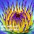 Kristin Belle Knudsen's profile image