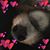 Barbara Rain's profile image