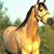 Rene Jones's profile image