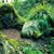 Gloria Pullins's profile image