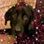 Debbie Snyderburn Willis's profile image