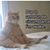 Doug Albert's profile image
