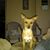 Beth Dement's profile image