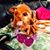 Janie Baker's profile image