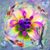Terrie Caldwell's profile image