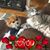 Gloria Camacho Torres's profile image