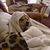 Julie Lindeman's profile image