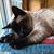 Karen E Waldron's profile image