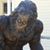 Cindy Semski's profile image