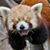 Cindy Szwalkiewicz's profile image