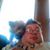 Jim DuFrane's profile image