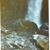 Kimberly Ann Taylor-Brown's profile image