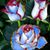 Melanie Hyman-Russell's profile image