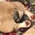 Grace Longo Inglese's profile image