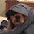 David Chiappe's profile image