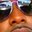 M HD's profile image