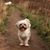 Julie Kimel's profile image