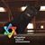 Frances Aull's profile image