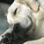 Malka Reilly's profile image