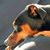 Pamela Mister's profile image