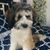 Jill Ragovin's profile image