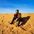 Alston Phu's profile image