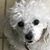 Linda Singh's profile image