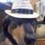 Buster Brown Johnson's profile image