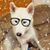 DeWanna Rivers Williams's profile image