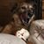 Sue Luther's profile image