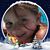 Lynne Holmberg's profile image