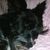 Renea Sloan's profile image