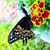 Liz Haga's profile image