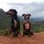 Kim Gentile Outlaw's profile image